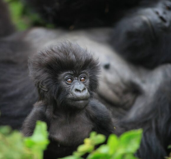 Rwanda