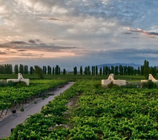 cavas-wine-lodge-mendoza-argentina