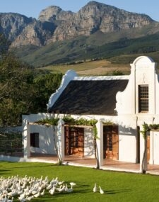 Where to stay in the winelands