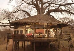 Tarangire Treetops