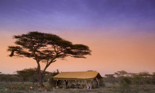 Serengeti Under Canvas