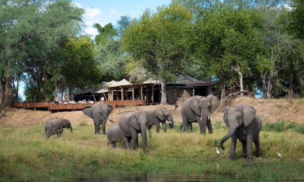 Wilderness Ruckomechi Camp