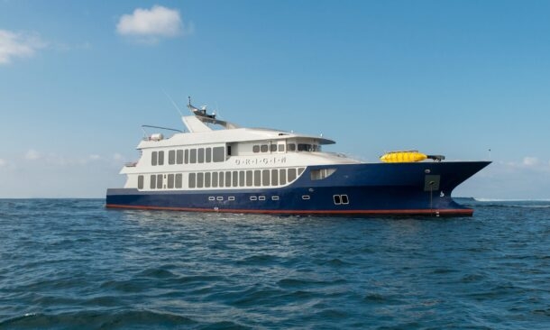 Origin, Theory & Evolve