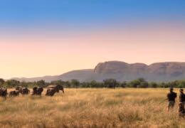 Marataba Private Reserve