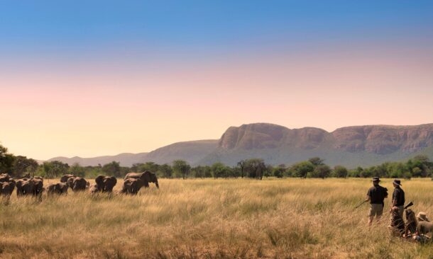 Marataba Private Reserve