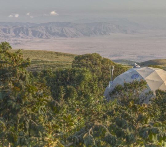 Geodesic dome of The Highlands Ngorongoro set within lush green foliage, Ngorongoro Crater Tanzania