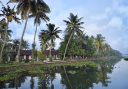 Philipkutty’s Farm