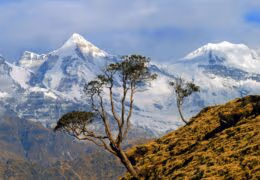 Hiking in the Himalaya
