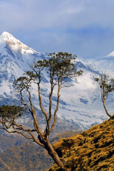 Hiking in the Himalaya