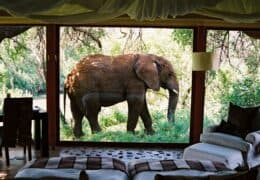 Sanctuary Makanyane Safari Lodge