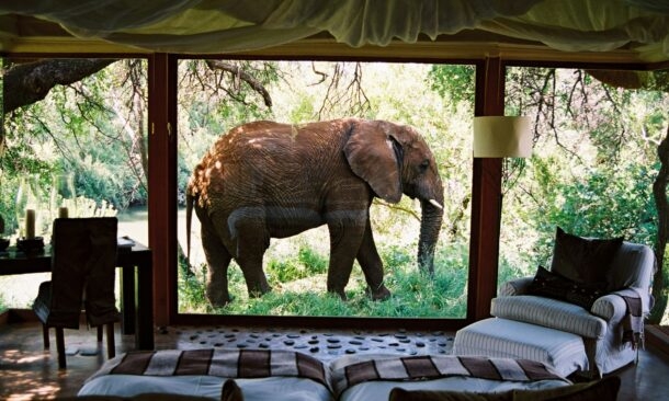 Sanctuary Makanyane Safari Lodge