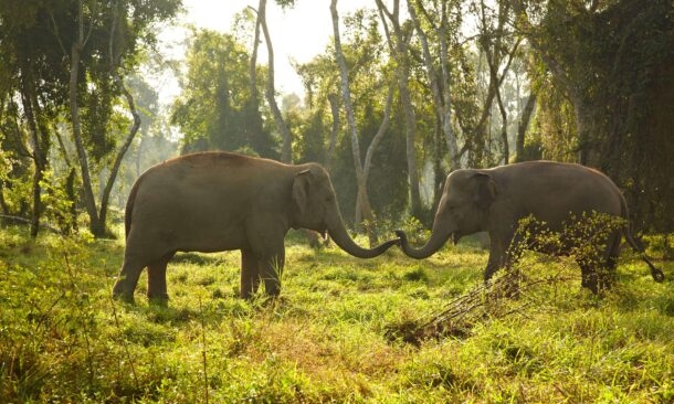 Active Family Vacation to Thailand