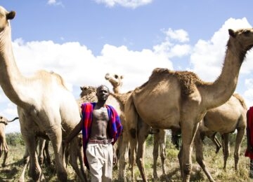 Laikipia Plateau thumbnail