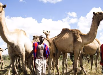 Laikipia Plateau thumbnail