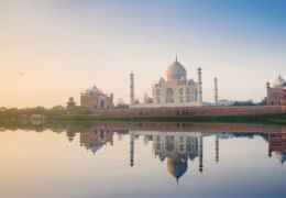 Indian Wildlife and Palaces