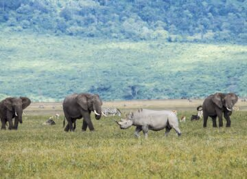 Ngorongoro Crater thumbnail