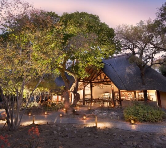 ngala-safari-lodge-kruger-national-park