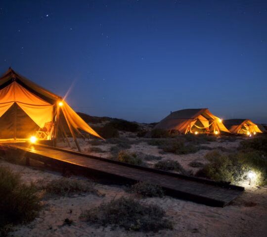 tents at night sal salis north west australia