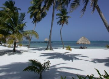 Ambergris Caye thumbnail