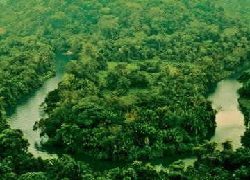 Punta Gorda thumbnail