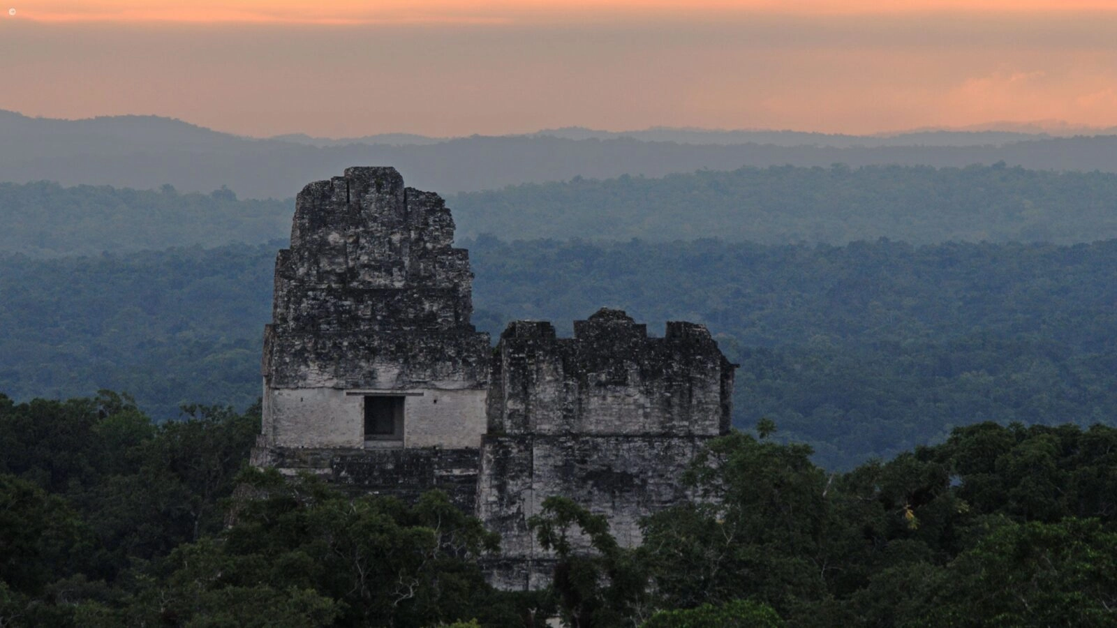 Mayan ruins of Tikal in Guatemala peeking through the forest canopy at sunset