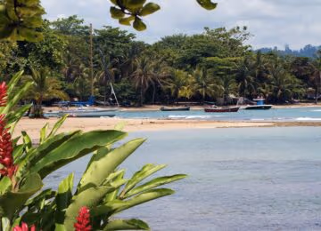 Puerto Viejo thumbnail