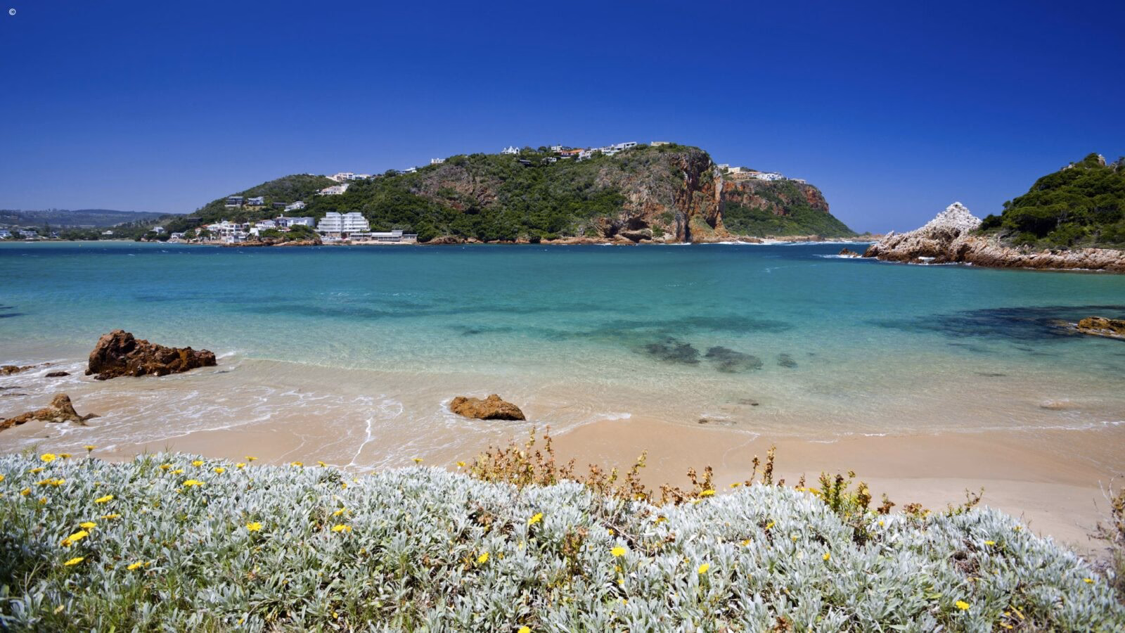 Pristine sandy beach and turquoise ocean water seen on luxury garden route vacations.