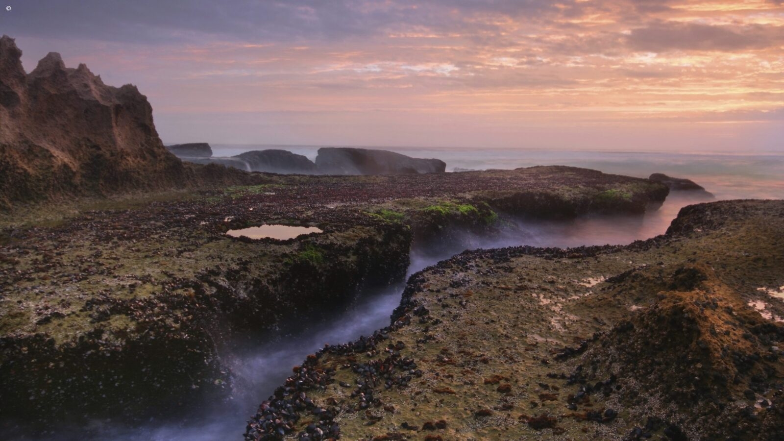 Misty sunset over a rocky coastline with moss and tide pools, featured on luxury garden route tours.