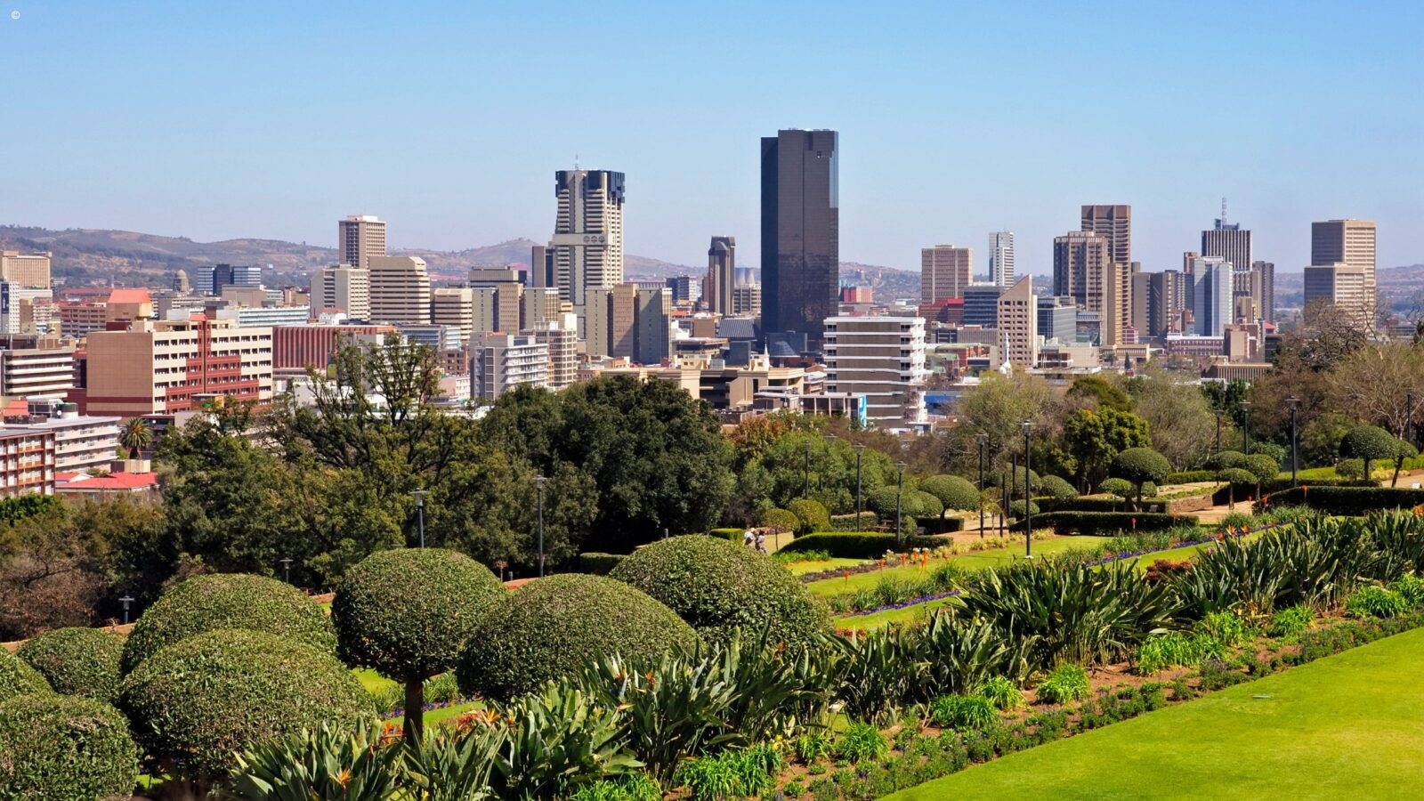 Panoramic view of city skyscrapers from a lush green park during luxury Johannesburg tours.