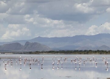 Lake Elmenteita thumbnail