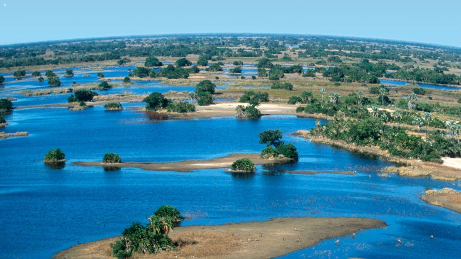 Delta Islands aerial view of waterlogged delta with wild flamingos and trees