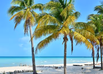 Isla Mujeres thumbnail