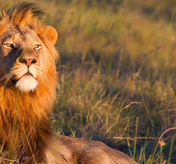 South Africa