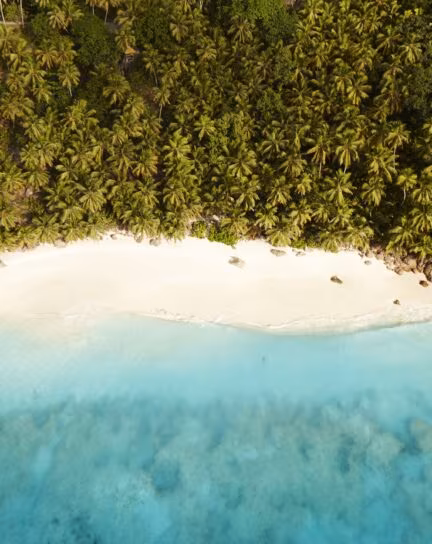 When is the Best Time to Visit the Seychelles?