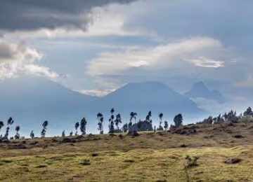 Mgahinga Gorilla National Park thumbnail