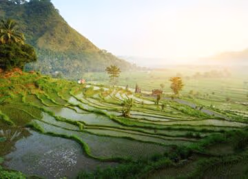 Ubud thumbnail