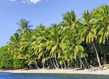 Banda Islands thumbnail