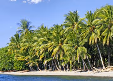 Banda Islands thumbnail