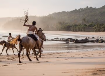 Sumba thumbnail