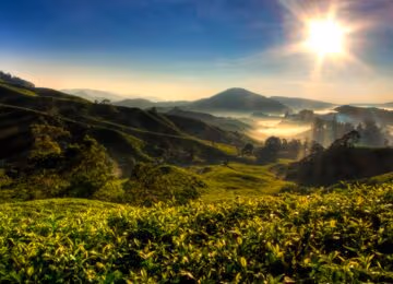 Malaysia thumbnail
