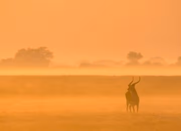 Kafue National Park thumbnail