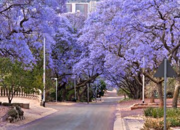 Pretoria thumbnail