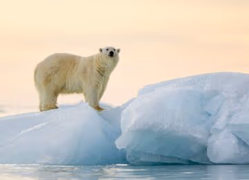 The Svalbard Islands thumbnail