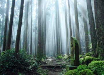 Ise Shima National Park thumbnail