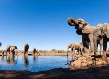 Mashatu Game Reserve thumbnail