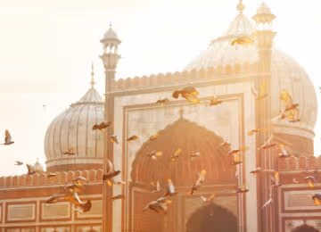 Delhi thumbnail