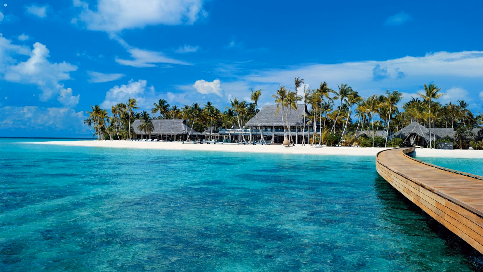 An idyllic white sandy beach with palm trees and a wooden walkway