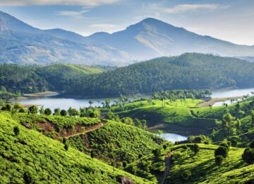 Munnar thumbnail