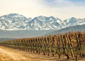 Mendoza thumbnail