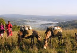 True Tribal Kenya: March with the Maasai